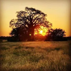 Munati B&B - Beitbridge