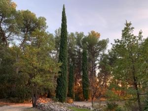 Maisons de vacances Villa Tourmarin a Flayosc : photos des chambres