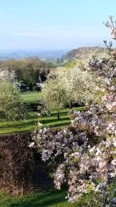 Gemütliche FeWo im Fachwerkhaus - 埃克斯特塔尔