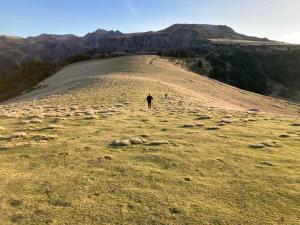 Hotels Hotel Le Progres Dorlotel : photos des chambres
