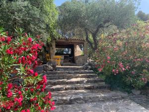 Maisons de vacances Villa Tourmarin a Flayosc : photos des chambres