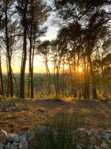 Maisons de vacances Villa Tourmarin a Flayosc : Maison 4 Chambres