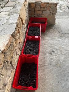 Maisons de vacances Villa Tourmarin a Flayosc : photos des chambres