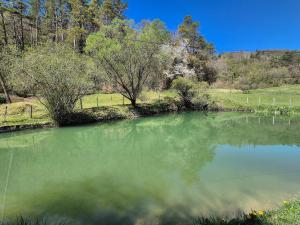 Old Mill, Pool and Nature