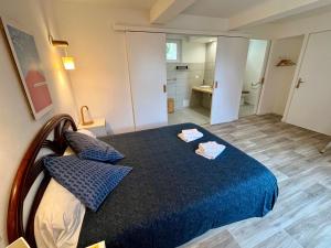 Maisons d'hotes La Cordilliere : photos des chambres