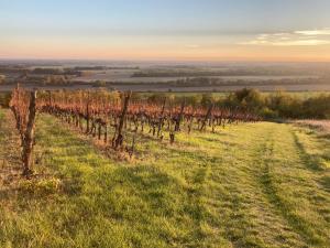 Dióhéj Vendégház