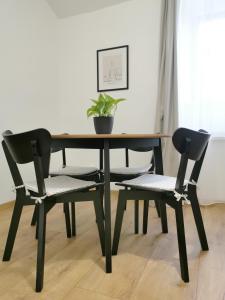 Feel Like Home in the City Center