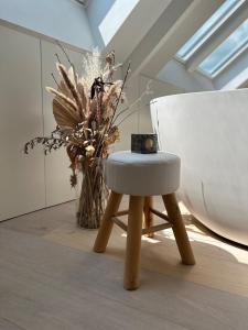 Dakappartement v
