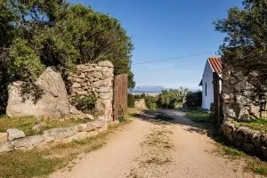 Stazzu Straetu antico stazzo Gallurese con vista sul Golfo di Olbia - 圣安托尼奥迪加卢拉