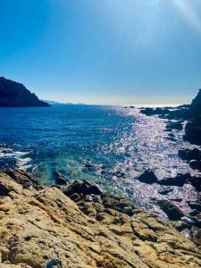 Appartements Tiny Harmony - Logement confortable avec jardin et jacuzzi prives pres d’Aix en Provence : photos des chambres