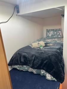 park tiny loft bed studio