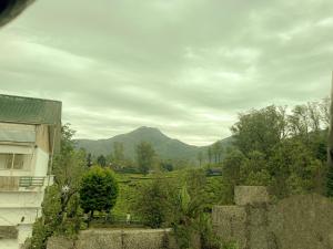 GlenBrook Home Tent Stay