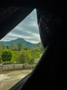 GlenBrook Home Tent Stay