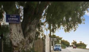 sfirakis apartment sea side