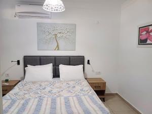 Paddys Apartments, Hisarönü