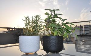 Habitat Lobby - central modern penthouse with private parking Trikala