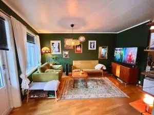 Midt i Sentrum - 桑内舍恩