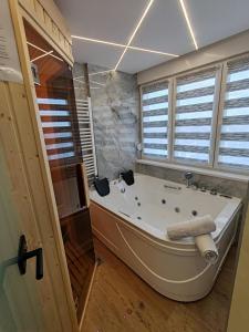 Relax Apartment with sauna and jacuzzi in city center