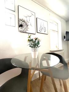 Apartmenthaus Elbblick