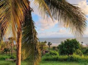 Domaine le Flamboyant - Boukot Ouolof