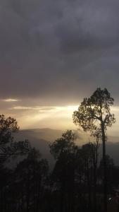 samarpan meditative stay