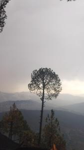 samarpan meditative stay