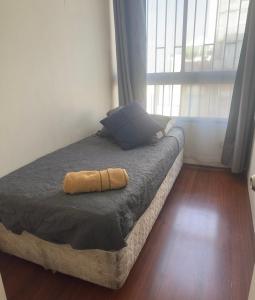 Never Give Up Suites