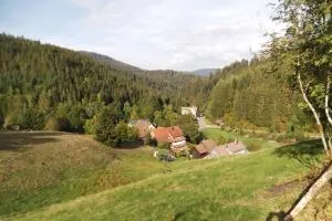 Ferienwohnung Schönmünzblick - Biberach