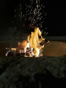 Sauna, Jacuzzi, Firepit, Playground - Oporto and Beach 15min