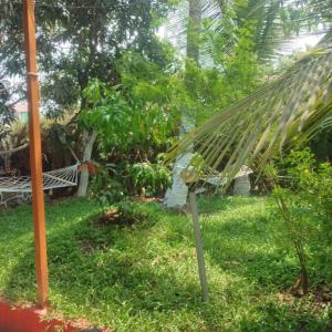 Green heaven homestay