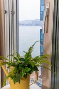 #Gwanganri# romantic holiday광안리로맨틱홀리데이