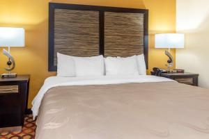 King Room with Sofa Bed - Non-Smoking room in Quality Inn & Suites Montgomery East Carmichael Rd