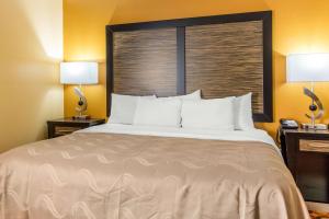 King Room with Mobility and Hearing Accessible - Non-Smoking room in Quality Inn & Suites Montgomery East Carmichael Rd