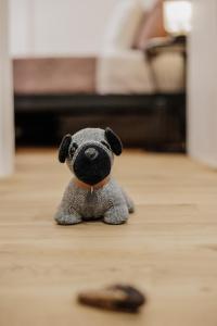 Maison Giallina at Spianada Square!