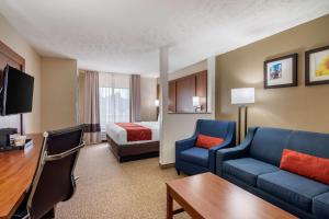 King Suite room in Comfort Suites Speedway - Kansas City