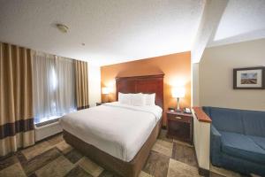 King Suite with Sofa Bed - Non-Smoking room in Comfort Inn & Suites