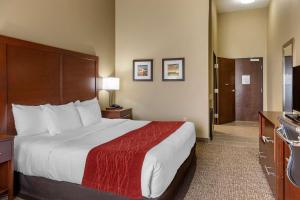 Comfort Inn & Suites Augusta