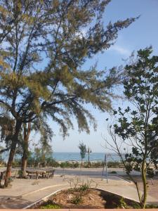 Nhà Hàng Khách Sạn Trà Cổ