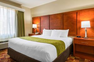 King Suite - Non-Smoking room in Comfort Suites Lake Charles