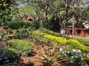 Camp Temgarh