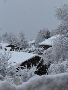 Les Chalets D-Anthouard : photos des chambres