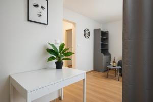 Cozy Apartment in City Center