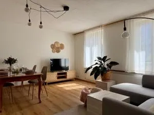 Spacious, stylish & central apartment, Great excursions in surrounding area - Willigen