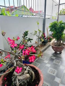 Ryo Homestay Dốc Lết