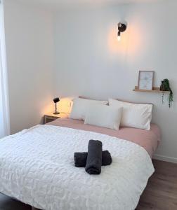 Maisons de vacances Rental house Niort center : photos des chambres