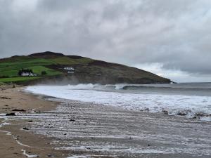 Wild Rowan Cottage - 2 Bedroom