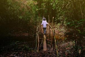 CHUNAKI ECOLODGES - Authentic Activities and Food in the Amazon