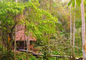 CHUNAKI ECOLODGES - Authentic Activities and Food in the Amazon