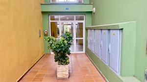 Apartamento Refugio Playero en Candelaria con Piscina