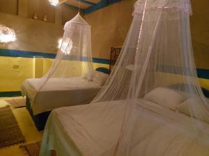 Mama Africa Camp
